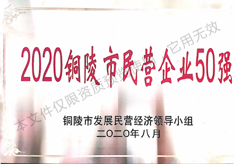 2020铜陵市民营企业50强